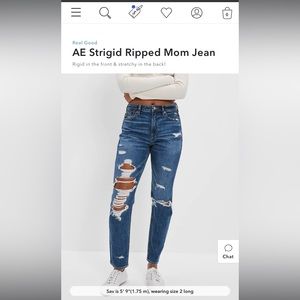 AE Strigid Ripped Mom Jean